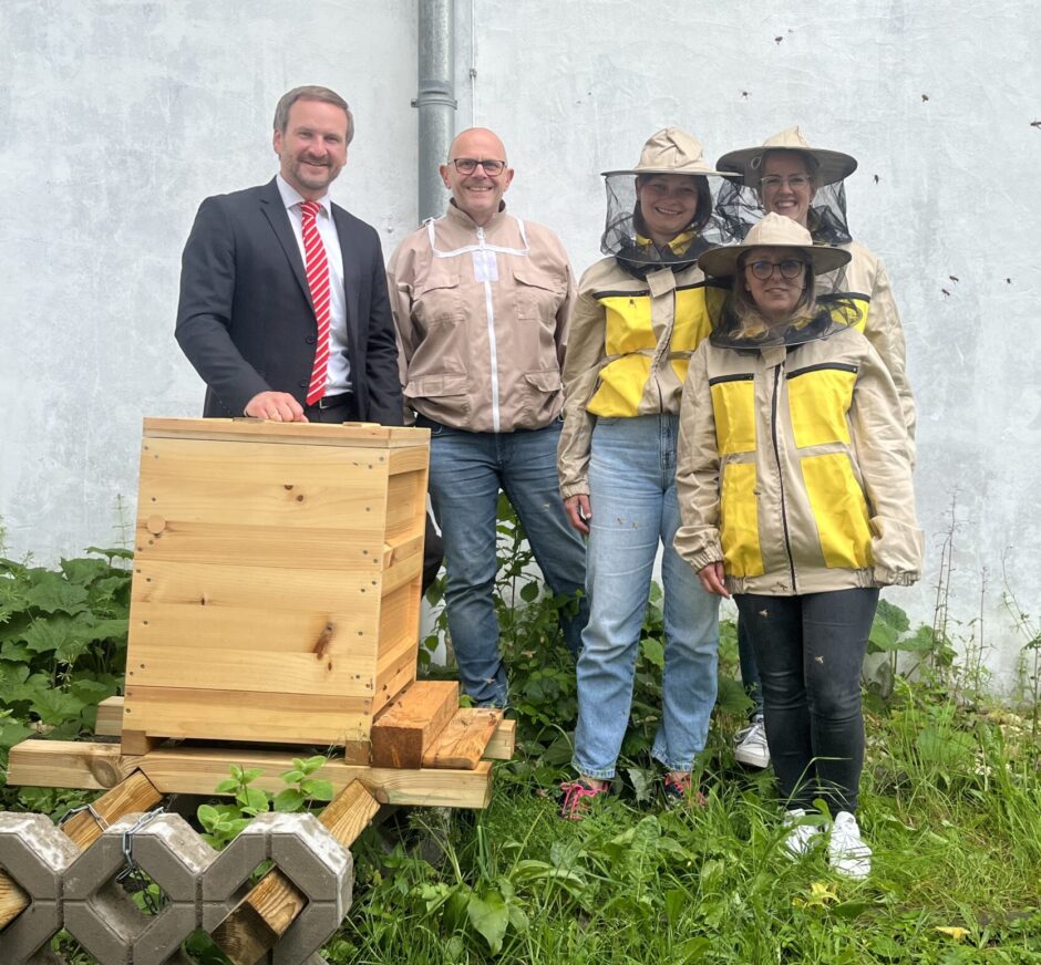 Bee to school: Bienen fliegen auf dem Schreppenberg